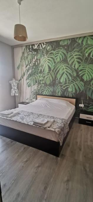 Elli'S House Daire Keremetli Dış mekan fotoğraf